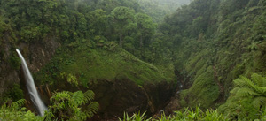 falls